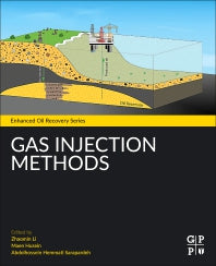 Gas Injection Methods (Paperback) 9780128223024