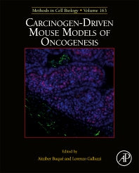 Carcinogen-Driven Mouse Models of Oncogenesis (Hardback) 9780128225349