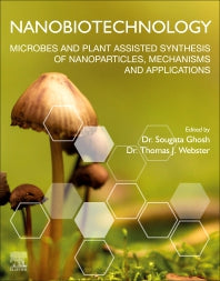 Nanobiotechnology; Microbes and Plant Assisted Synthesis of Nanoparticles, Mechanisms and Applications (Paperback) 9780128228784