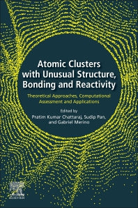 Atomic Clusters with Unusual Structure, Bonding and Reactivity; Theoretical Approaches, Computational Assessment and Applications (Paperback) 9780128229439