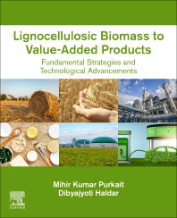 Lignocellulosic Biomass to Value-Added Products; Fundamental Strategies and Technological Advancements (Paperback) 9780128235348