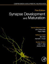 Synapse Development and Maturation; Comprehensive Developmental Neuroscience (Hardback) 9780128236727