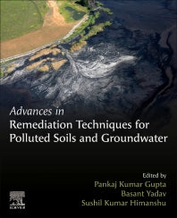 Advances in Remediation Techniques for Polluted Soils and Groundwater (Paperback) 9780128238301