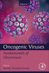 Oncogenic Viruses Volume 1; Fundamentals of Oncoviruses (Paperback) 9780128241523