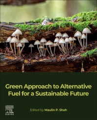 Green Approach to Alternative Fuel for a Sustainable Future (Paperback) 9780128243183