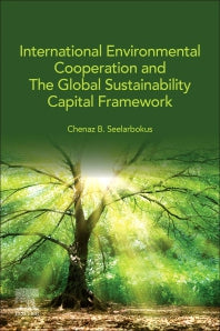 International Environmental Cooperation and The Global Sustainability Capital Framework (Paperback) 9780128245194