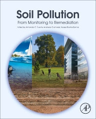 Soil Pollution; From Monitoring to Remediation (Paperback) 9780128498736