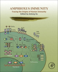 Amphioxus Immunity; Tracing the Origins of Human Immunity (Hardback) 9780128499030