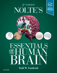 Nolte's Essentials of the Human Brain (Paperback / softback) 9780323529310