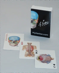 Netter Playing Cards; Netter's Anatomy Art Card Deck (Single Pack) () 9780323553797