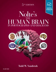 Nolte's The Human Brain in Photographs and Diagrams (Paperback / softback) 9780323598163