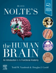 Nolte's The Human Brain; An Introduction to its Functional Anatomy (Paperback / softback) 9780323653985