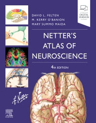 Netter's Atlas of Neuroscience (Paperback / softback) 9780323756549