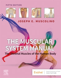 The Muscular System Manual; The Skeletal Muscles of the Human Body (Paperback) 9780323812757