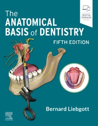 The Anatomical Basis of Dentistry (Paperback) 9780323824057