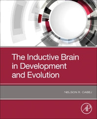 The Inductive Brain in Development and Evolution (Paperback / softback) 9780323851541