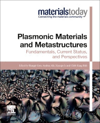 Plasmonic Materials and Metastructures; Fundamentals, Current Status, and Perspectives (Paperback / softback) 9780323853798