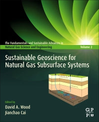 Sustainable Geoscience for Natural Gas SubSurface Systems (Paperback / softback) 9780323854658