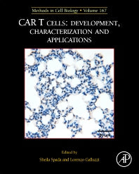 MCB: CAR T Cells: Development, Characterization and Applications (Hardback) 9780323855013