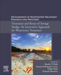 Development in Waste Water Treatment Research and Processes; Treatment and Reuse of Sewage Sludge: An Innovative Approach for Wastewater Treatment (Paperback / softback) 9780323855846