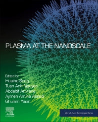 Plasma at the Nanoscale (Paperback) 9780323899307