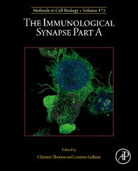 The Immunological Synapse Part A (Hardback) 9780323901543