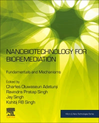 Nanobiotechnology for Bioremediation; Fundamentals and Mechanisms (Paperback / softback) 9780323917674