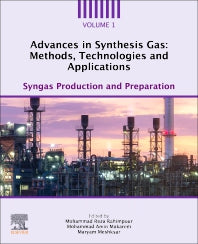 Advances in Synthesis Gas: Methods, Technologies and Applications; Syngas Production and Preparation (Paperback / softback) 9780323918718