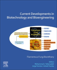 Current Developments in Biotechnology and Bioengineering; Filamentous Fungi Biorefinery (Paperback / softback) 9780323918725