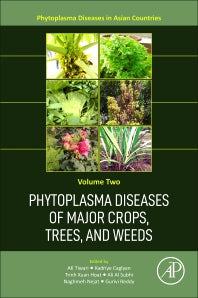 Phytoplasma Diseases of Major Crops, Trees, and Weeds (Paperback / softback) 9780323918978