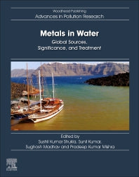 Metals in Water; Global Sources, Significance, and Treatment (Paperback / softback) 9780323959193