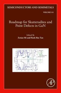 Roadmap for Skutterudites and Point Defects in GaN (Hardback) 9780323989336