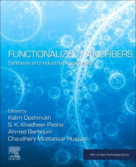 Functionalized Nanofibers; Synthesis and Industrial Applications (Paperback / softback) 9780323994613