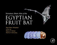 Stereotaxic Brain Atlas of the Egyptian Fruit Bat (Hardback) 9780323996129