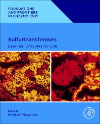 Sulfurtransferases; Essential Enzymes for Life (Paperback / softback) 9780443188275