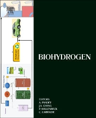 Biohydrogen (Hardback) 9780444595553