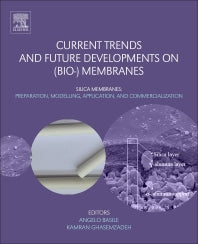 Current Trends and Future Developments on (Bio-) Membranes; Silica Membranes: Preparation, Modelling, Application, and Commercialization (Paperback / softback) 9780444638663