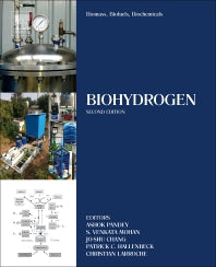 Biomass, Biofuels, Biochemicals; Biohydrogen (Paperback / softback) 9780444642035