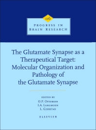 The Glutamate Synapse as a Therapeutic Target (Hardback) 9780444827548