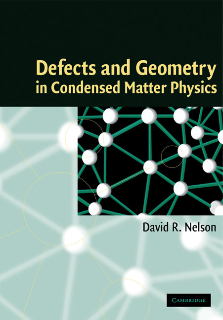 Defects and Geometry in Condensed Matter Physics (Paperback) 9780521004008