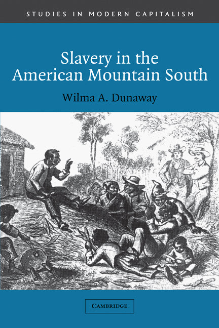 Slavery in the American Mountain South (Paperback) 9780521012157