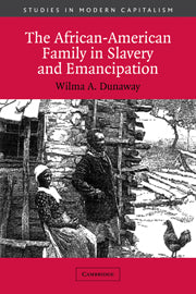 The African-American Family in Slavery and Emancipation (Hardback) 9780521812764