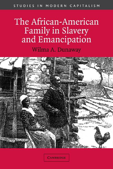 The African-American Family in Slavery and Emancipation (Paperback) 9780521012164