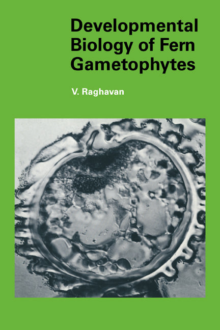 Developmental Biology of Fern Gametophytes (Paperback) 9780521017251