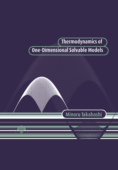 Thermodynamics of One-Dimensional Solvable Models (Paperback) 9780521019798