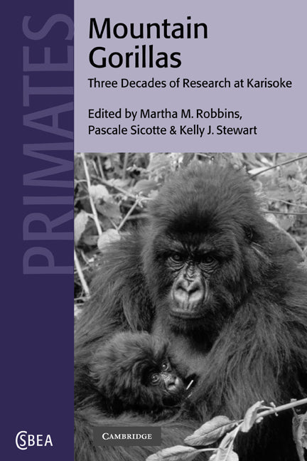 Mountain Gorillas; Three Decades of Research at Karisoke (Paperback / softback) 9780521019866