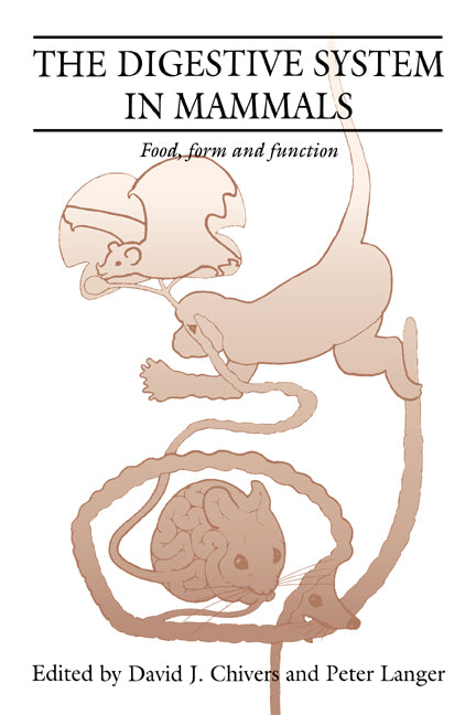 The Digestive System in Mammals; Food Form and Function (Paperback / softback) 9780521020855