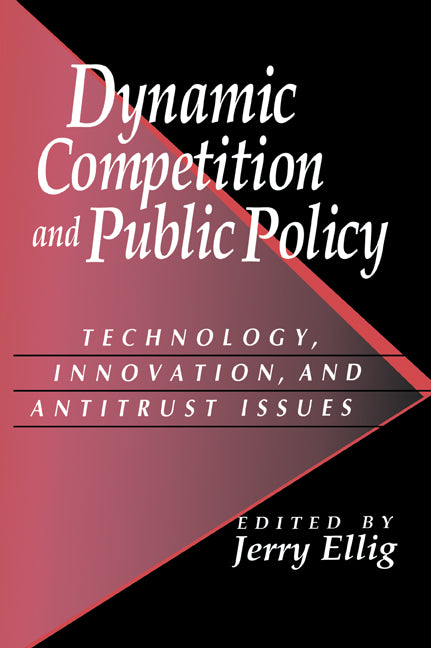 Dynamic Competition and Public Policy; Technology, Innovation, and Antitrust Issues (Paperback / softback) 9780521021814