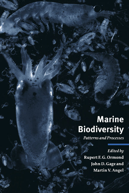 Marine Biodiversity; Patterns and Processes (Paperback / softback) 9780521022651