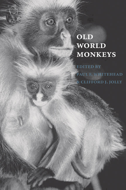 Old World Monkeys (Paperback / softback) 9780521028097